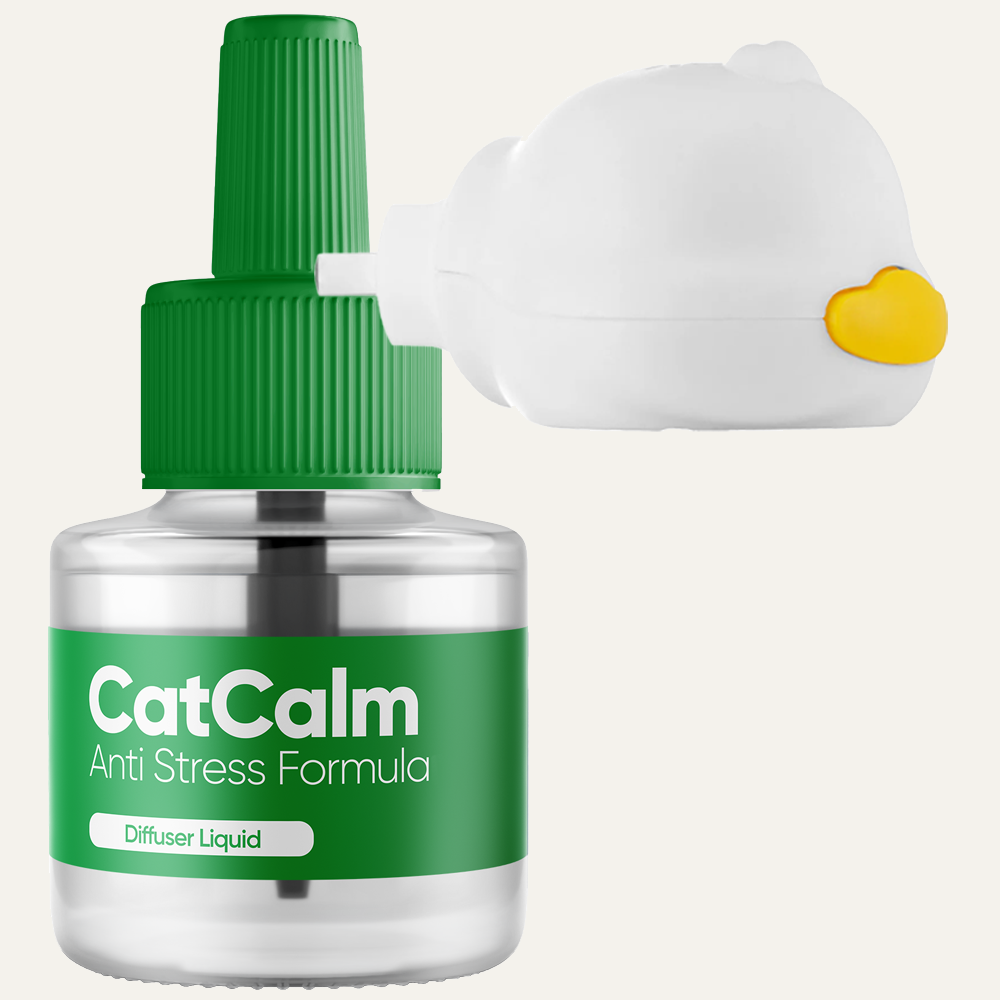 Anti Stress Bundle