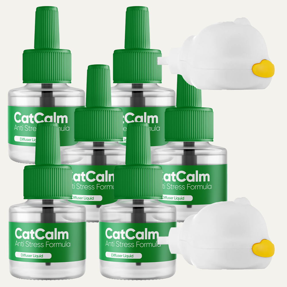 Anti Stress Bundle